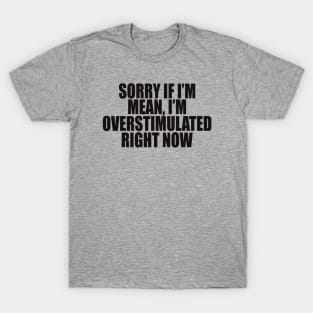 Sorry If I’m Mean, I’m Overstimulated Right Now Shirt, Y2k Aesthitic Shirtr, Self Care, Self Love Shirt, Mental Health Gifts T-Shirt